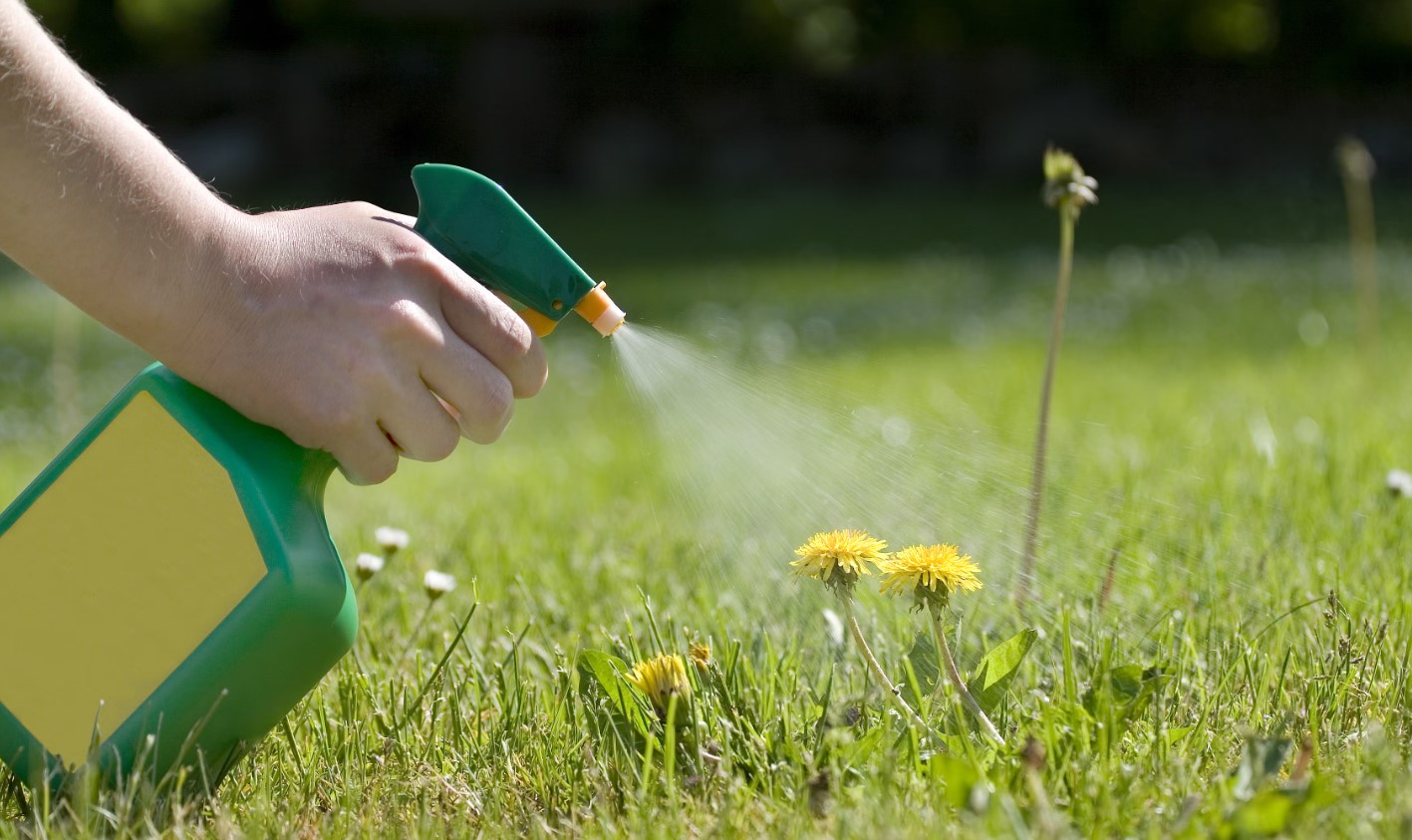 Засоби від бур'янів