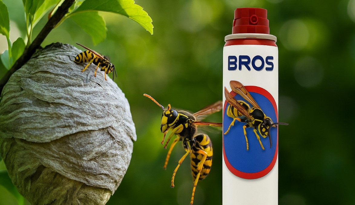 Офер другого слайду